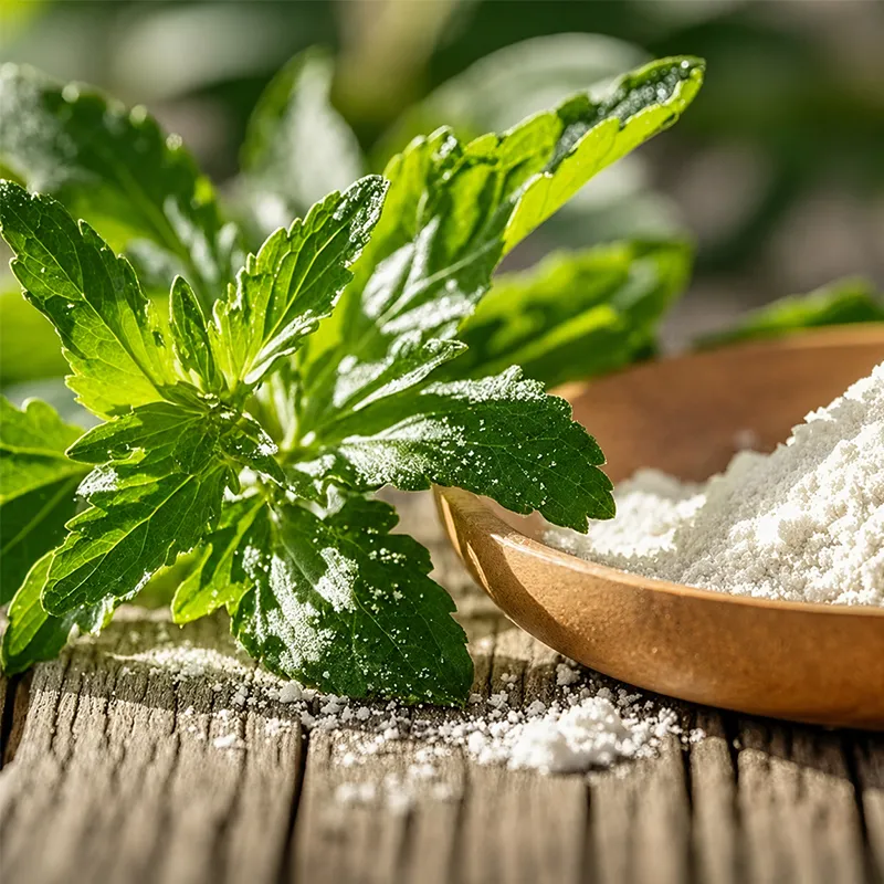 Stevia (1)